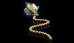 Diskon 10% image