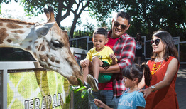 Dapatkan Voucher Rp50 Ribu image