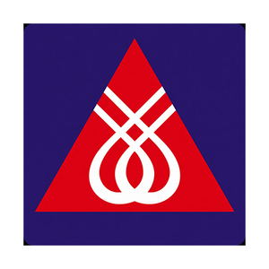 Icon Promo