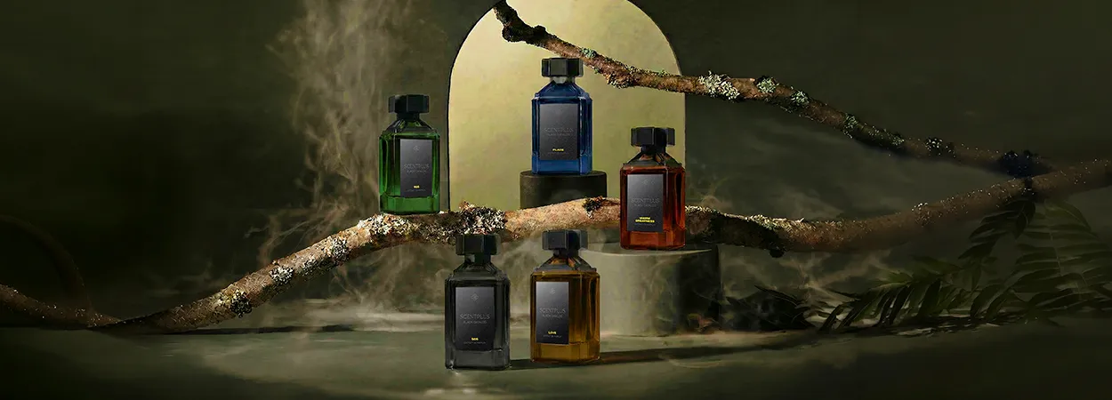 20260624_scent-plus-banner