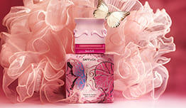 Discount of IDR250,000 image