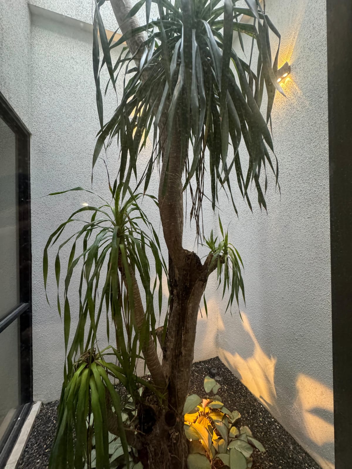 Vienna Botanical Living