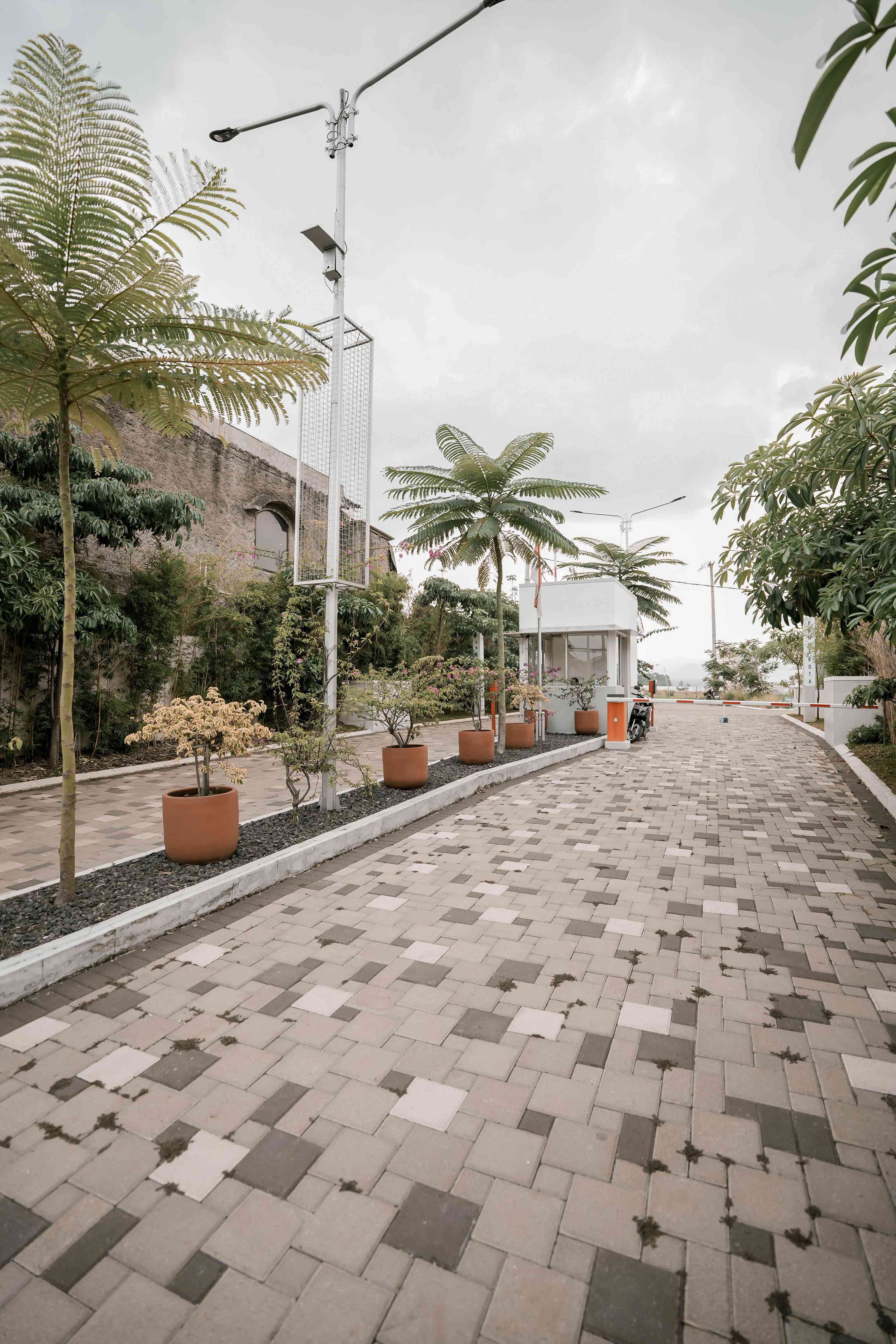 pannakota colony