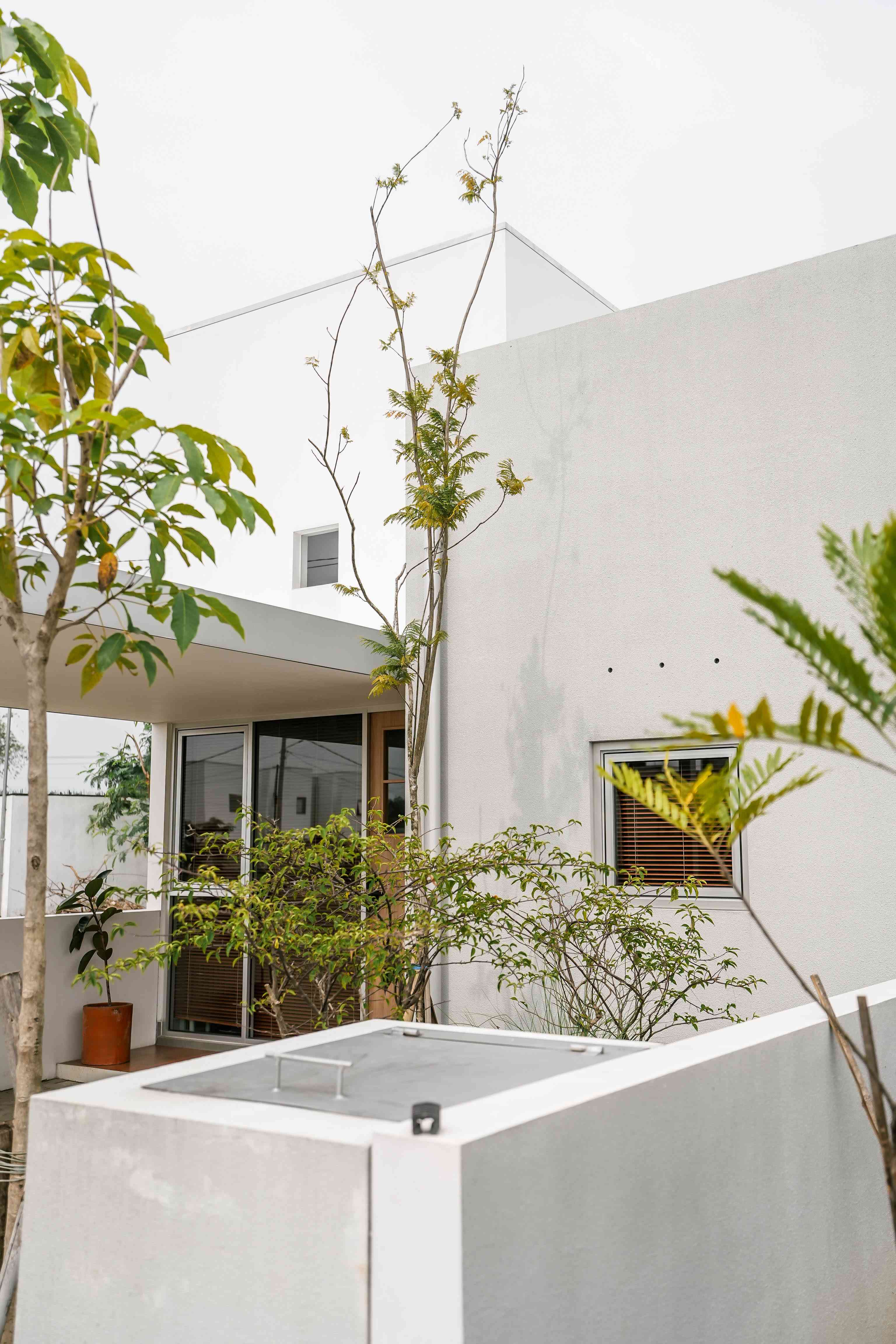 pannakota colony