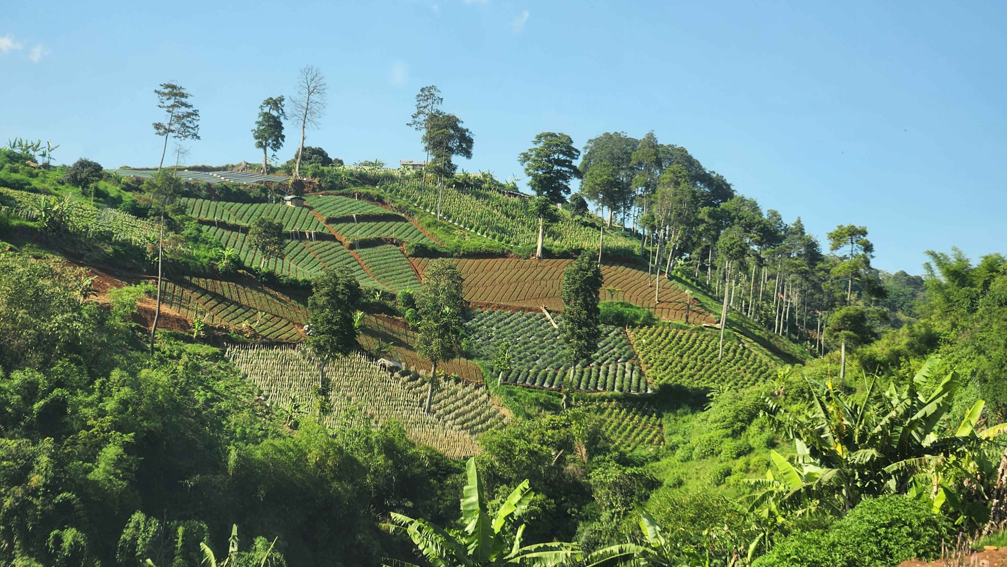 Resor Dago Pakar