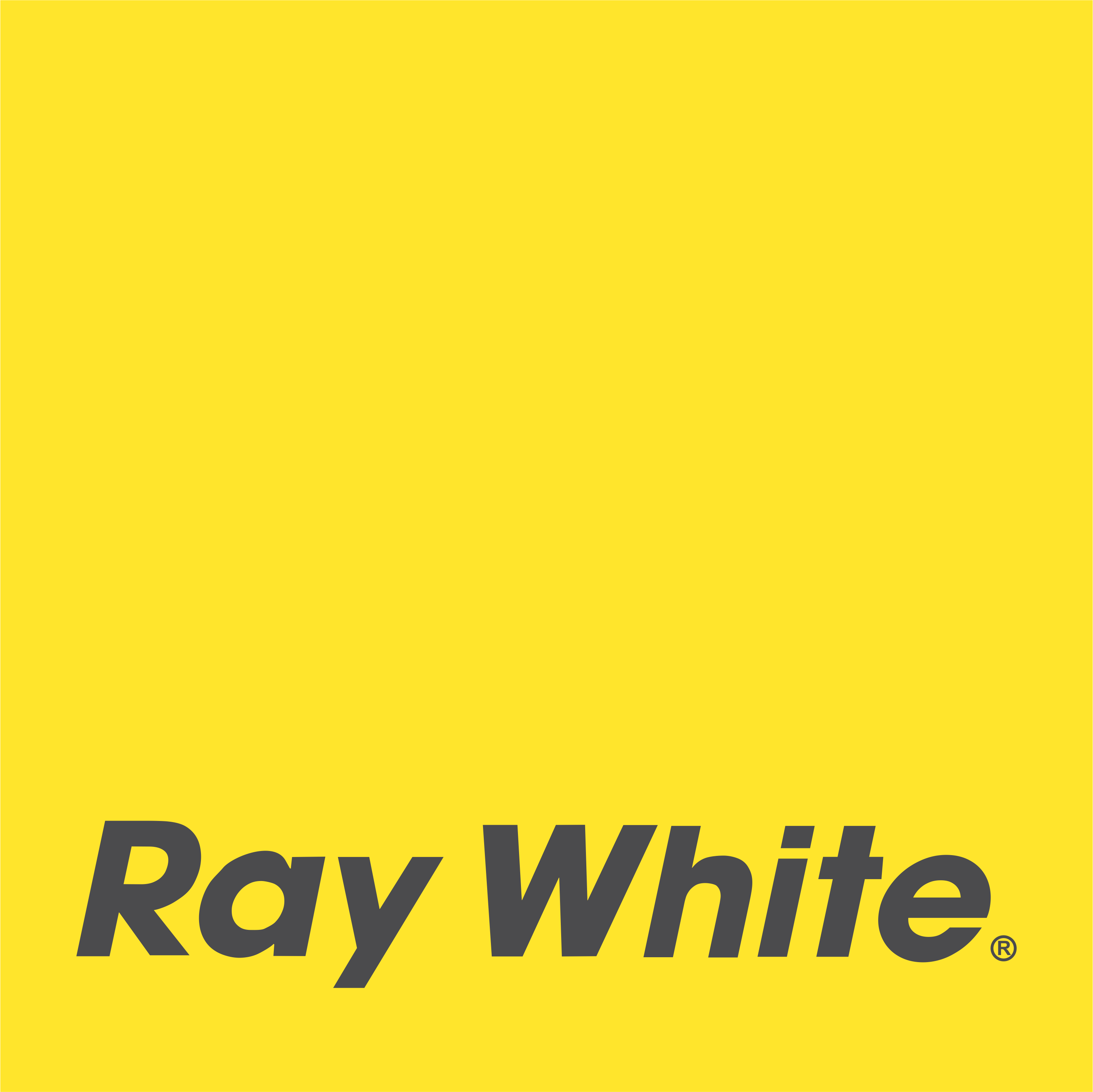 RAY WHITE SOLO RAYA