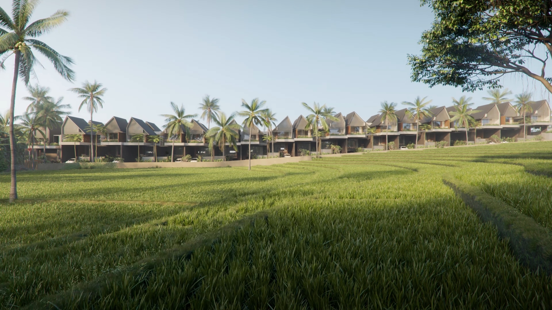 nava tamora canggu