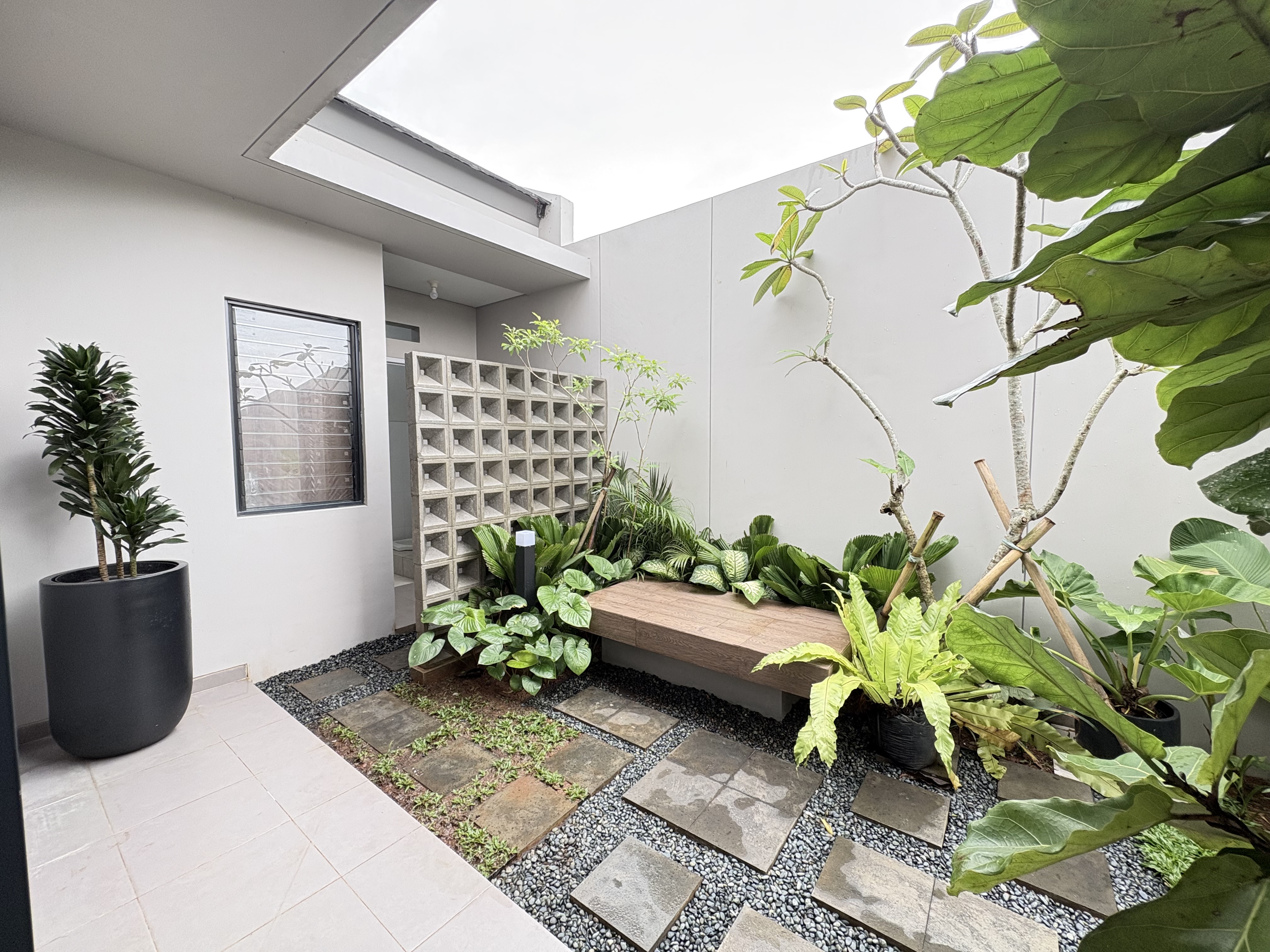 Sutera Nexen