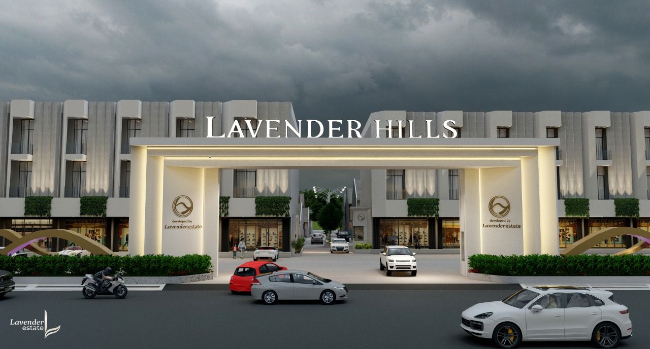 lavender hills