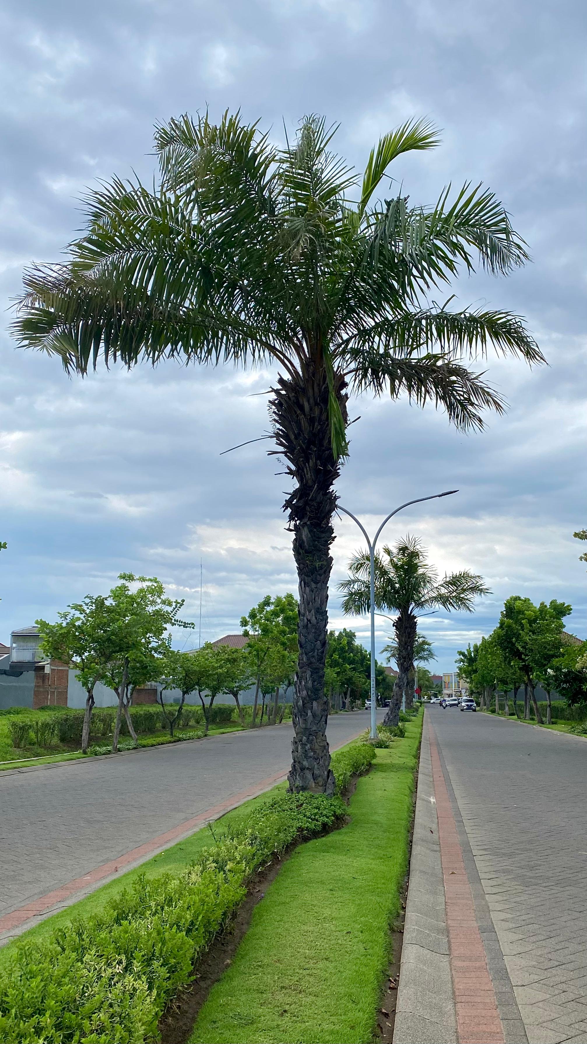graha tirta