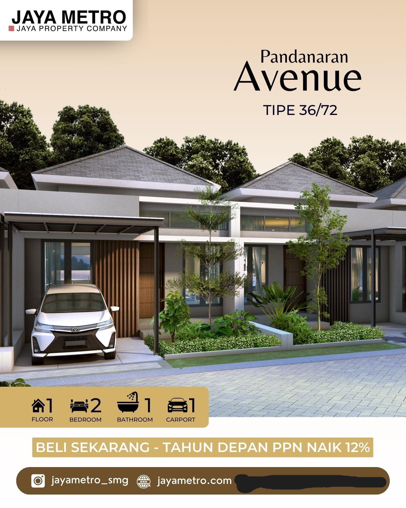 pandanaran avenue