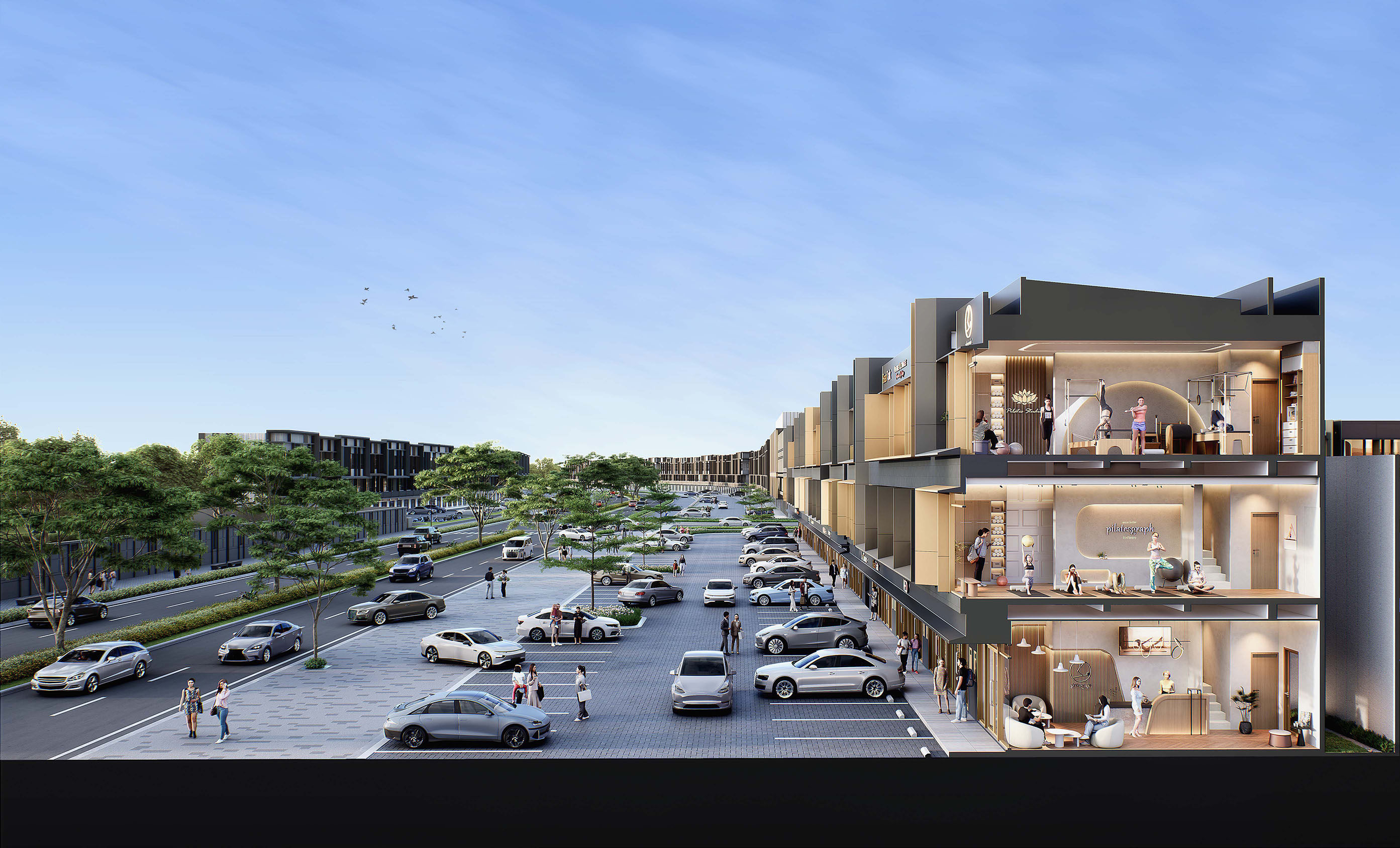 BSD City