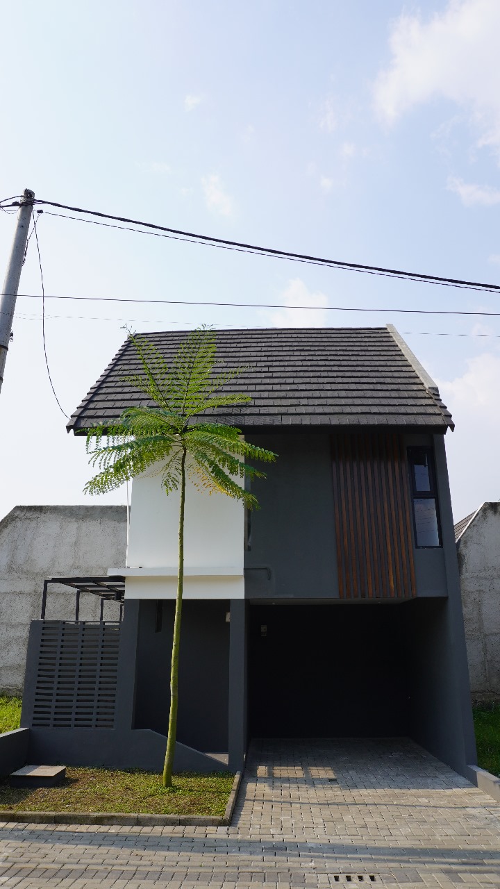 the royal harmony @kopo