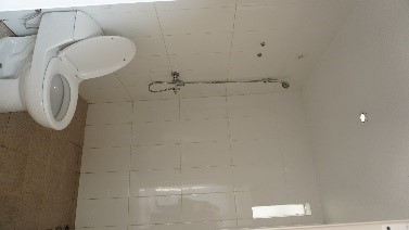 the royal harmony @kopo