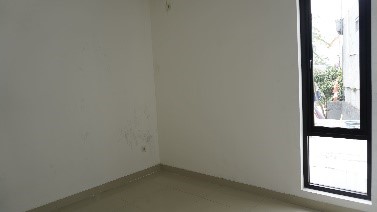 the royal harmony @kopo