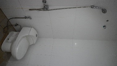 the royal harmony @kopo