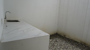 the royal harmony @kopo