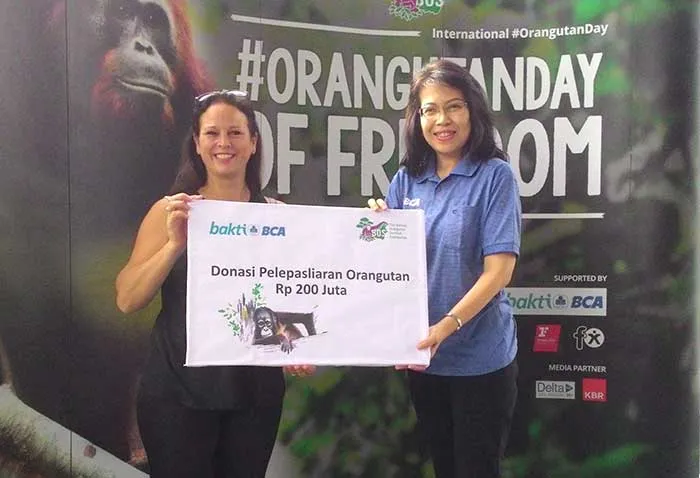 BCA Dukung Yayasan Borneo Orangutan Survival Donasikan Rp200 Juta untuk Pelepasliaran Orangutan
