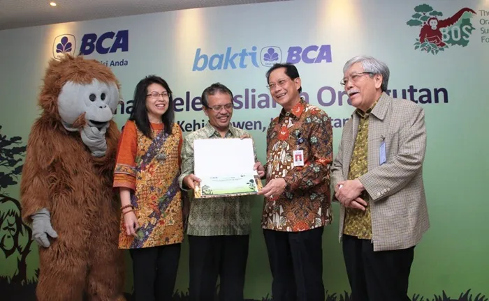 BCA Berikan Bantuan kepada BOS Foundation untuk Pelepasliaran Orangutan di Hutan Kehje Sewen, Kalimantan Timur