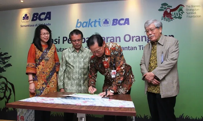 BCA Berikan Bantuan kepada BOS Foundation untuk Pelepasliaran Orangutan di Hutan Kehje Sewen, Kalimantan Timur
